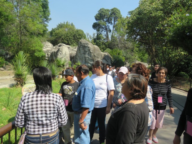 zoo